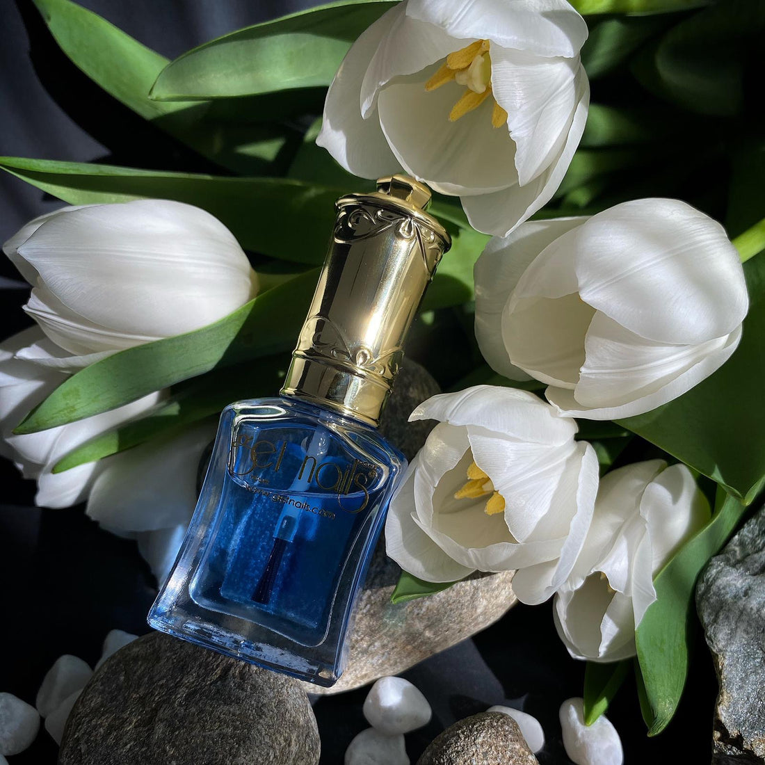 Cuticle Oil Amnesia 15ml GN