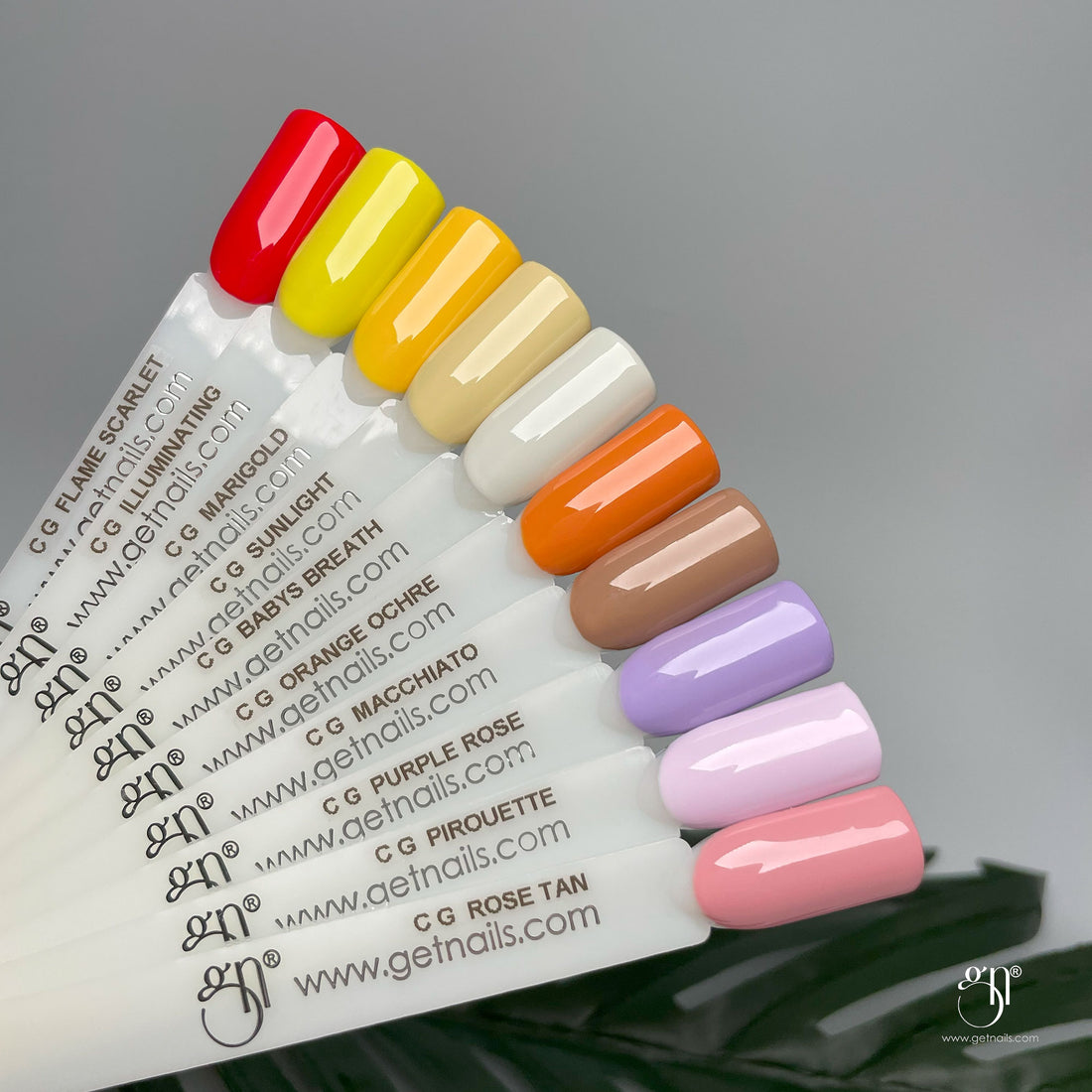Colour Gel Macchiato 5g GN